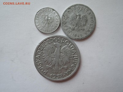 Польша 1 и 20 грошей 5 злотых до 28.01.17  22-00 - DSCN4338.JPG