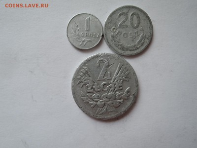 Польша 1 и 20 грошей 5 злотых до 28.01.17  22-00 - DSCN4337.JPG
