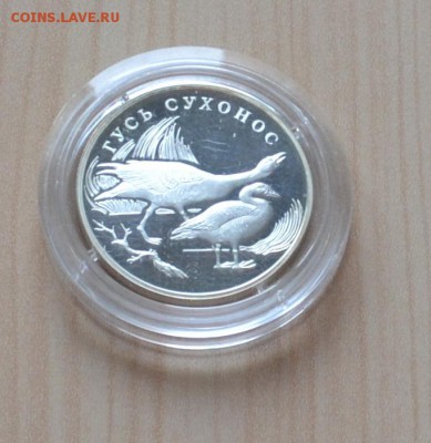 1 рубль 2006 Гусь сухонос Красная книга - DSC_4379.JPG