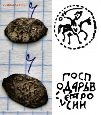 чешуя на определение и оценку. - DSC06693.JPG