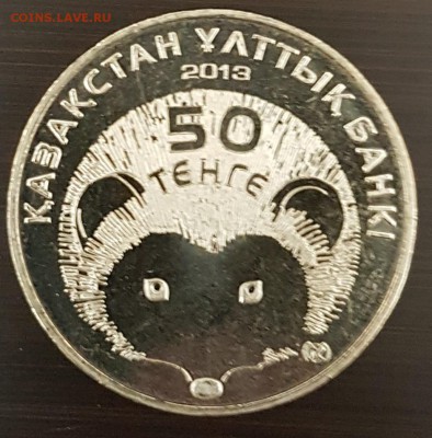 Казахстан Длинноиглый Еж ФИКС до удоха в архив - Еж2