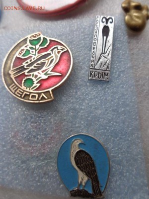 все за 100 ру - DSC08216.JPG
