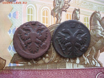 Полушки 1730 - 1750гг 16шт. Определение и оценка. - 5а.JPG