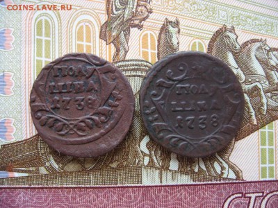 Полушки 1730 - 1750гг 16шт. Определение и оценка. - 5.JPG