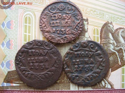 Полушки 1730 - 1750гг 16шт. Определение и оценка. - 4.JPG