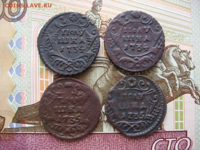 Полушки 1730 - 1750гг 16шт. Определение и оценка. - 3.JPG