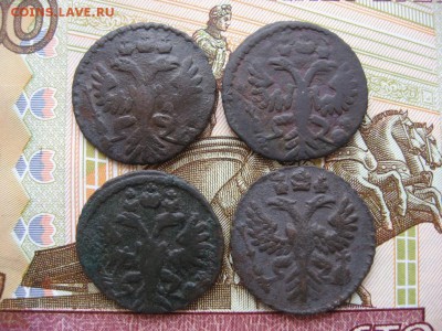 Полушки 1730 - 1750гг 16шт. Определение и оценка. - 2а.JPG