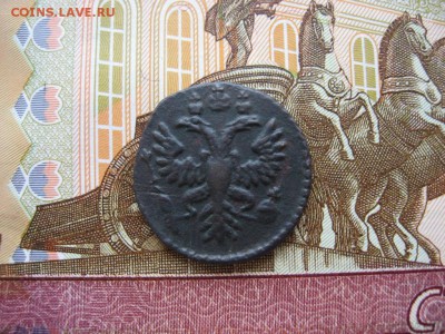 Полушки 1730 - 1750гг 16шт. Определение и оценка. - 1а.JPG
