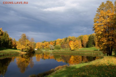 ФОТО - просто фото. Те что получились удачными. - осень.JPG
