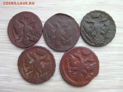 денга 5шт до 30.01.17 22-00 - SANY1160.JPG
