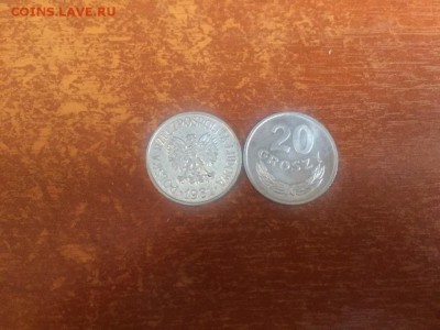 Польша 20 гроши 1981 РОЛЛ - lr6JXZlE2vg