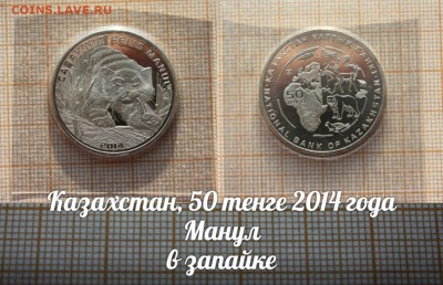 Казахстан 50 тенге 2014 Манул в ЗАПАЙКЕ - LMMGF1Loofs