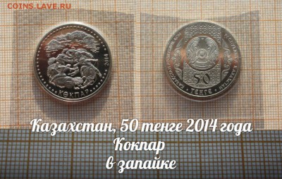 Казахстан 50 тенге 2014 Кокпар в ЗАПАЙКЕ - KpmDHF3ja4k