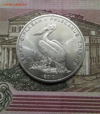 Казахстан 50 тенге 2010 Кудрявый пеликан Красная книга,Фауна - IMG_7323.JPG