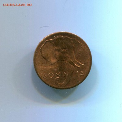 ИТАЛЬЯНСКОЕ СОМАЛИ 1 ЧЕН И 5 ЧЕН 1950 UNC - somalia 1 cent