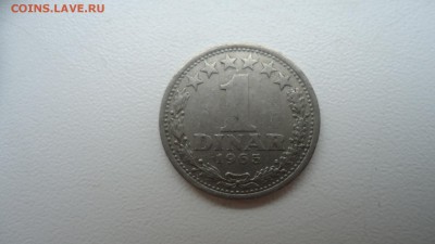 ЮГОСЛАВИЯ 1 ДИНАР 1965  ДО 04.02 22:00 МСК - DSC03621.JPG