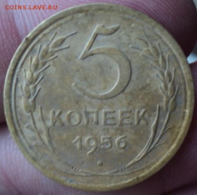 5 копеек 1956 года  окончание 01.02.17  23-00 мск - DSC02770.JPG