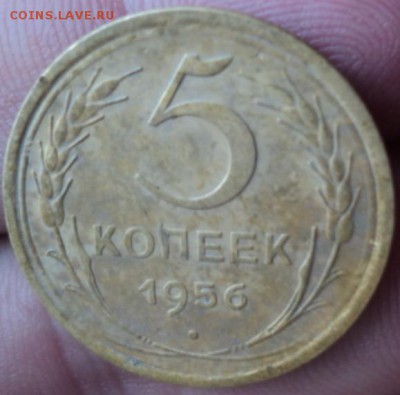 5 копеек 1956 года  окончание 01.02.17  23-00 мск - DSC02772.JPG