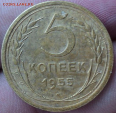 5 копеек 1955 года  окончание 01.02.17  23-00мск - DSC02773.JPG