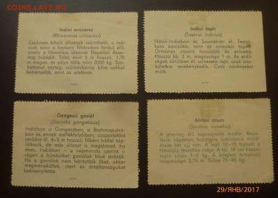 Марка??? - P1200903.JPG