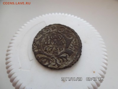 полушка 1730 года - SAM_3854.JPG