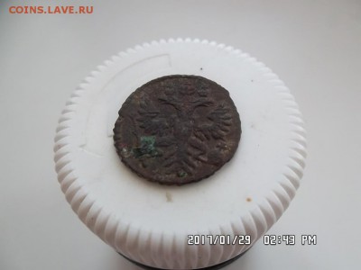 полушка 1730 года - SAM_3855.JPG