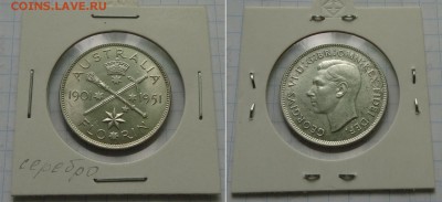 Австралия, 1 флорин 1951, до 05.02 18:00 - australia-1fl-1951-650r