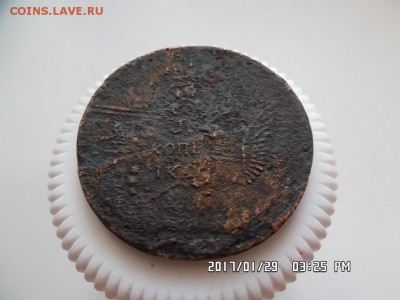 облачная копейка перечекан - SAM_3860.JPG