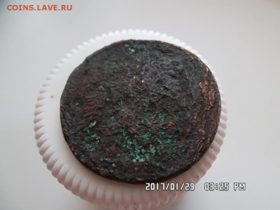 облачная копейка перечекан - SAM_3861.JPG