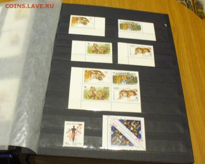 Марки Современная Россия - годовые наборы. - P1180743.JPG