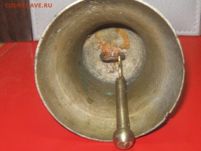 Поддужный колокольчик-оценка - IMG_3594.JPG