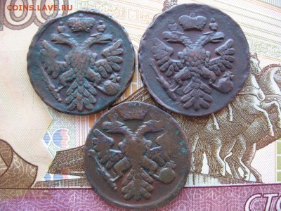 Денга 1730 - 1754гг 37шт. Определение и оценка - 024.JPG