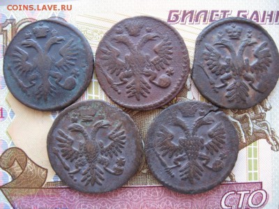 Денга 1730 - 1754гг 37шт. Определение и оценка - 020.JPG