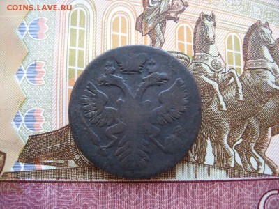 Денга 1730 - 1754гг 37шт. Определение и оценка - 014.JPG