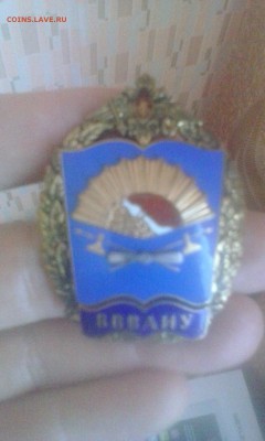 знак Воронежского ВВАИУ - IMG_20170130_141511