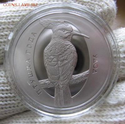 Беларусь 1 рубль Удод Птица Года 02.02 22.00 - удод