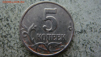 Вопросы по разновиднстям от сахарок - DSC09615.JPG