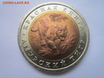 с 200 кк 1992 Тигр до 05.02.2017 в 22:30 - IMG_2267.JPG