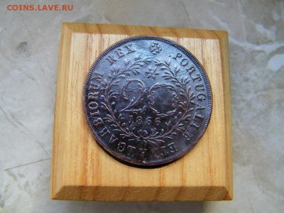 Островная Португалия - 100_2914.JPG