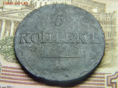5 коп 1832 СМ до  2.02 в 21.30 по Москве - Изображение 1862