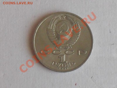 подскажите по разновидности, оцените - SDC13299.JPG