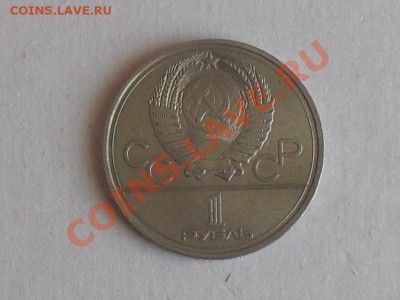 подскажите по разновидности, оцените - SDC13295.JPG