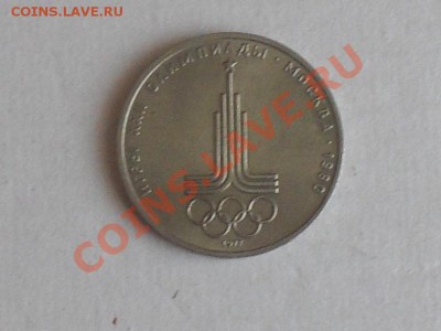 подскажите по разновидности, оцените - SDC13292.JPG