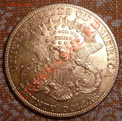 20 долларов США 1904 год. - 73