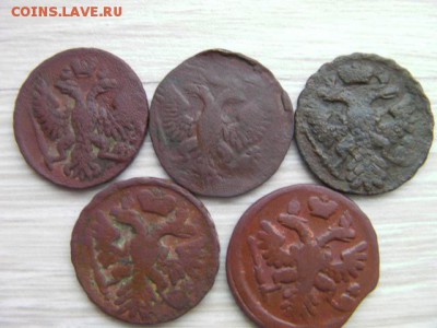 денга 5шт до 3.02.17 22-00 - SANY1162.JPG