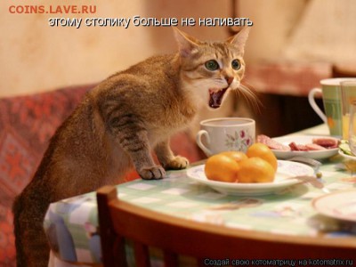 делает - прямо сейчас !!! - 548188