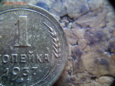 1 копейка 1937 разновидность? - IMG017