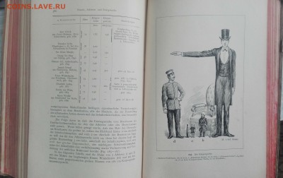 Книга Анатомия 1899 года, на оценку. - IMG_20170202_091359