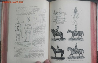 Книга Анатомия 1899 года, на оценку. - IMG_20170202_091222
