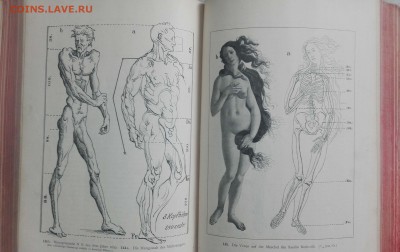 Книга Анатомия 1899 года, на оценку. - IMG_20170202_091007